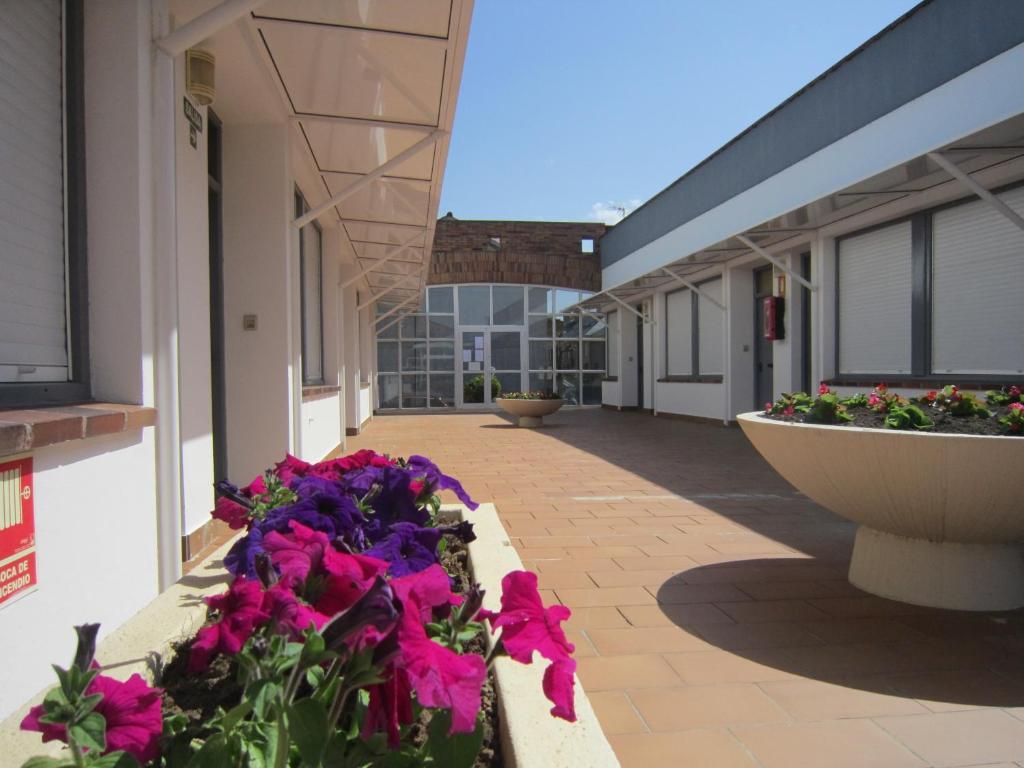 Apartamentos Elena Laredo Exterior photo